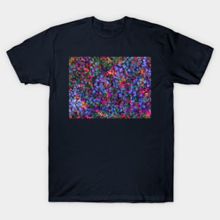 Forest Sunrise T-Shirt